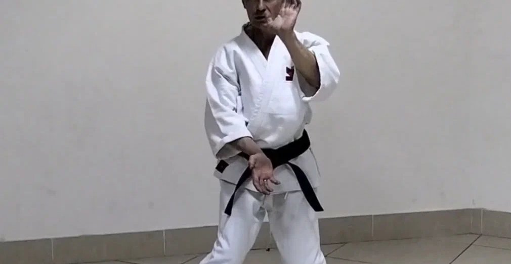 Обложка: Внутренняя Алхимия всех ката каратэ Шотокана