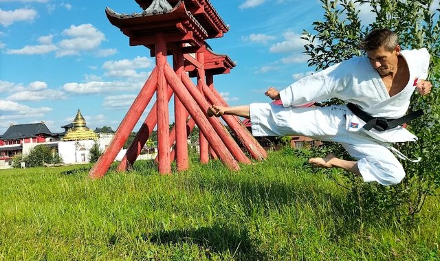 Обложка: Как енот учил тигров драться Боевые искусства - это про то, как убить быстро и с наименьшими усилиями