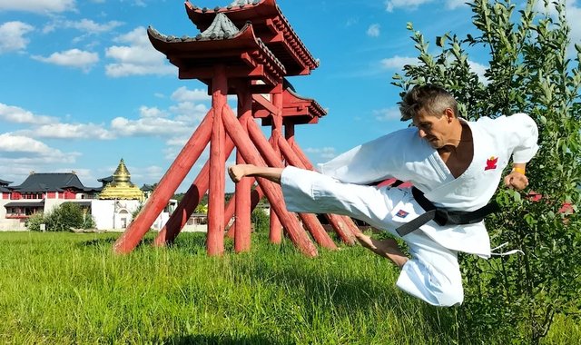 Обложка: Уровни мастерства в боевых искусствах За основу своей классификации уровней мастерства в боевых искусствах я б