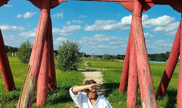 Обложка: Как я тренировал каратэ в армии в 80-е "Вот ты, встань, подойди, и ударь его" - сказал главный дед, указав пал