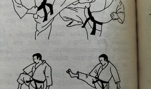 Обложка: Книжное каратэ на первом курсе