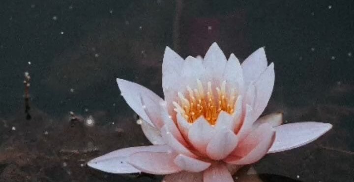 Обложка: Модель мироздания💡 Духовная эволюция человека💫 Человек устроен так, что он воспринимает мир и взаимодействует