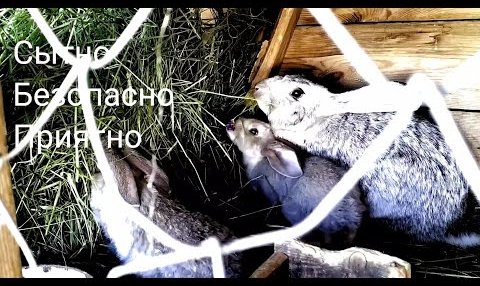 YouTube: Жизнь в Матрице, и жизнь на Свободе.